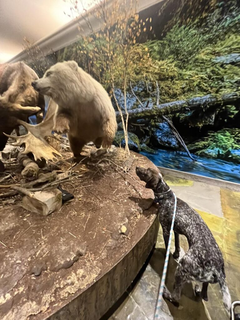 Winston Practicing Focus in Public