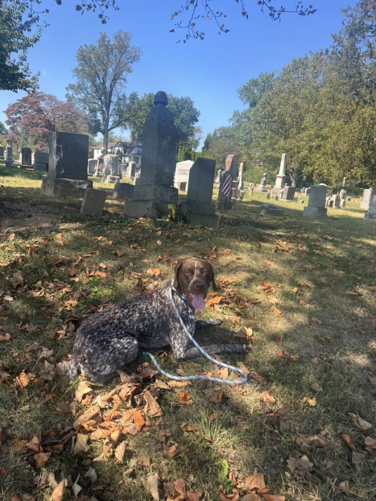 Winston Practicing Focus in Public