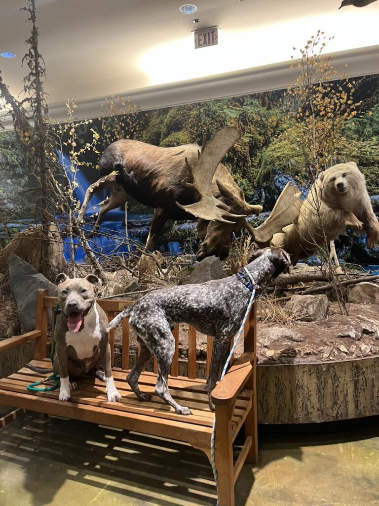 Winston Practicing Focus in Public