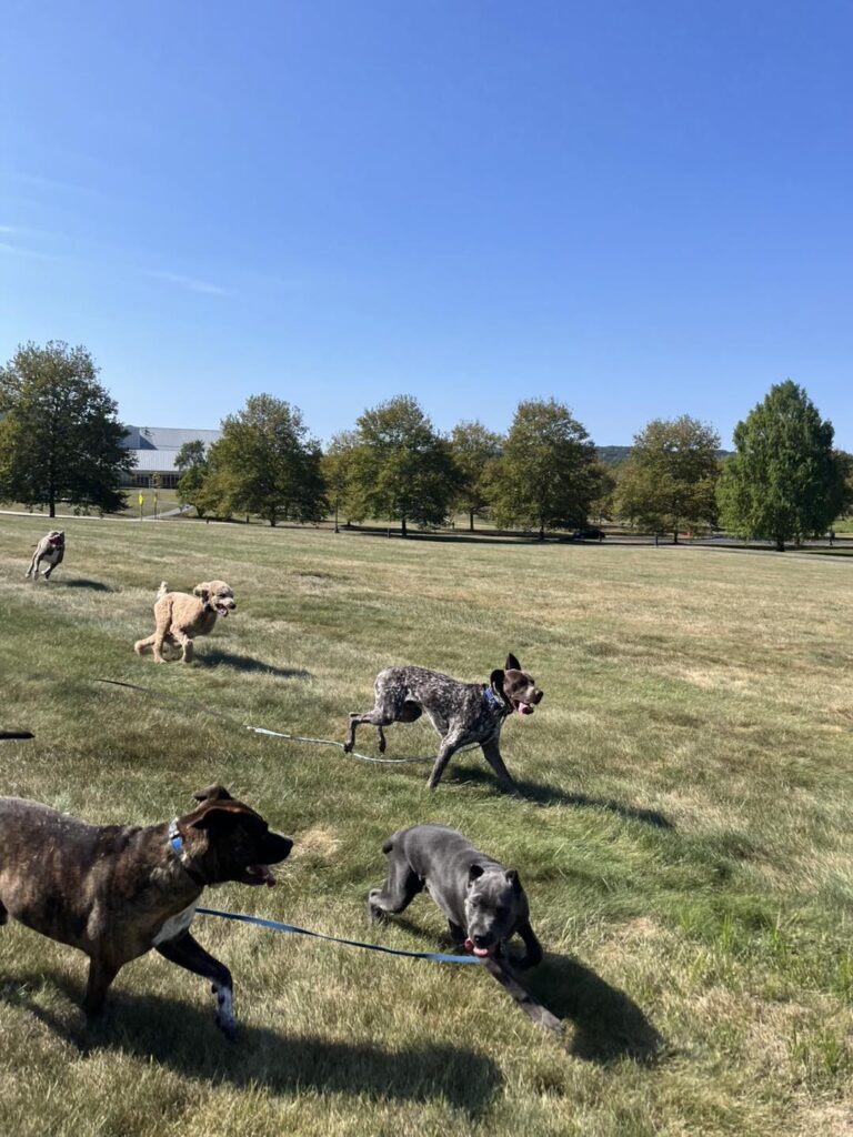 Winston Practicing Focus in Public