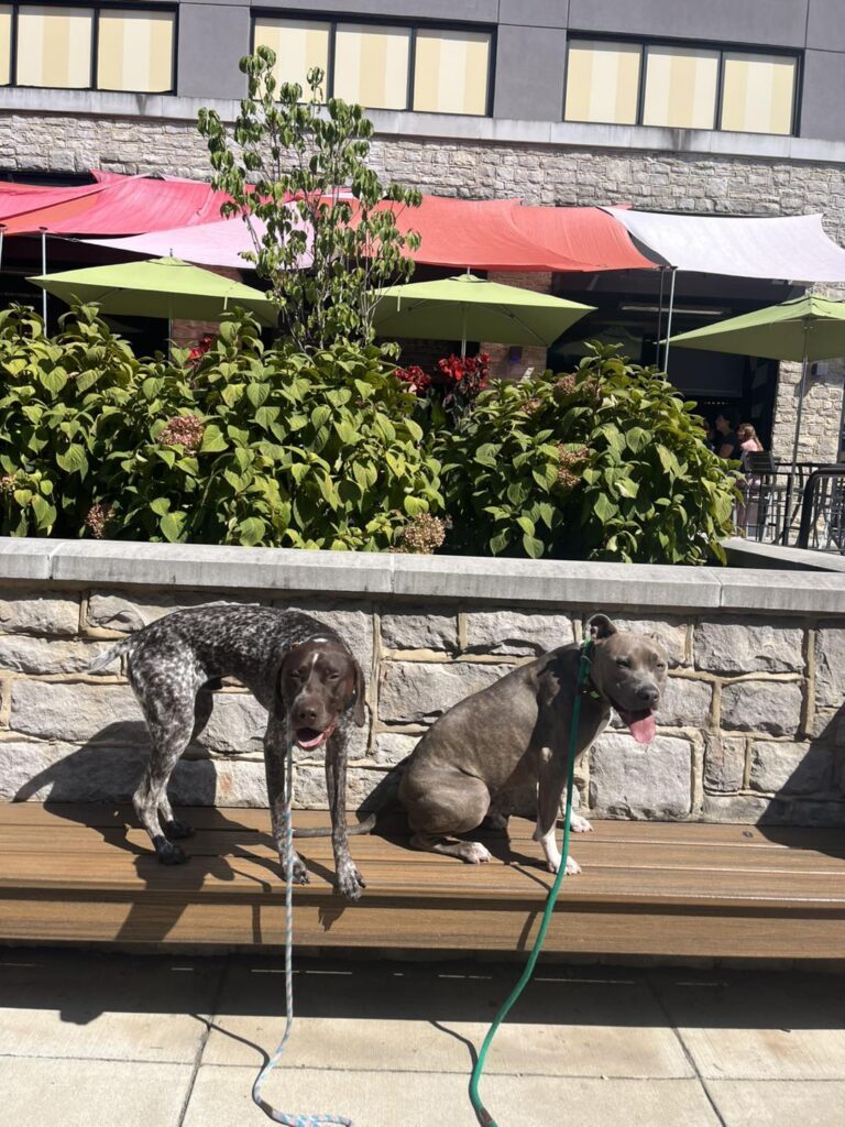 Winston Practicing Focus in Public