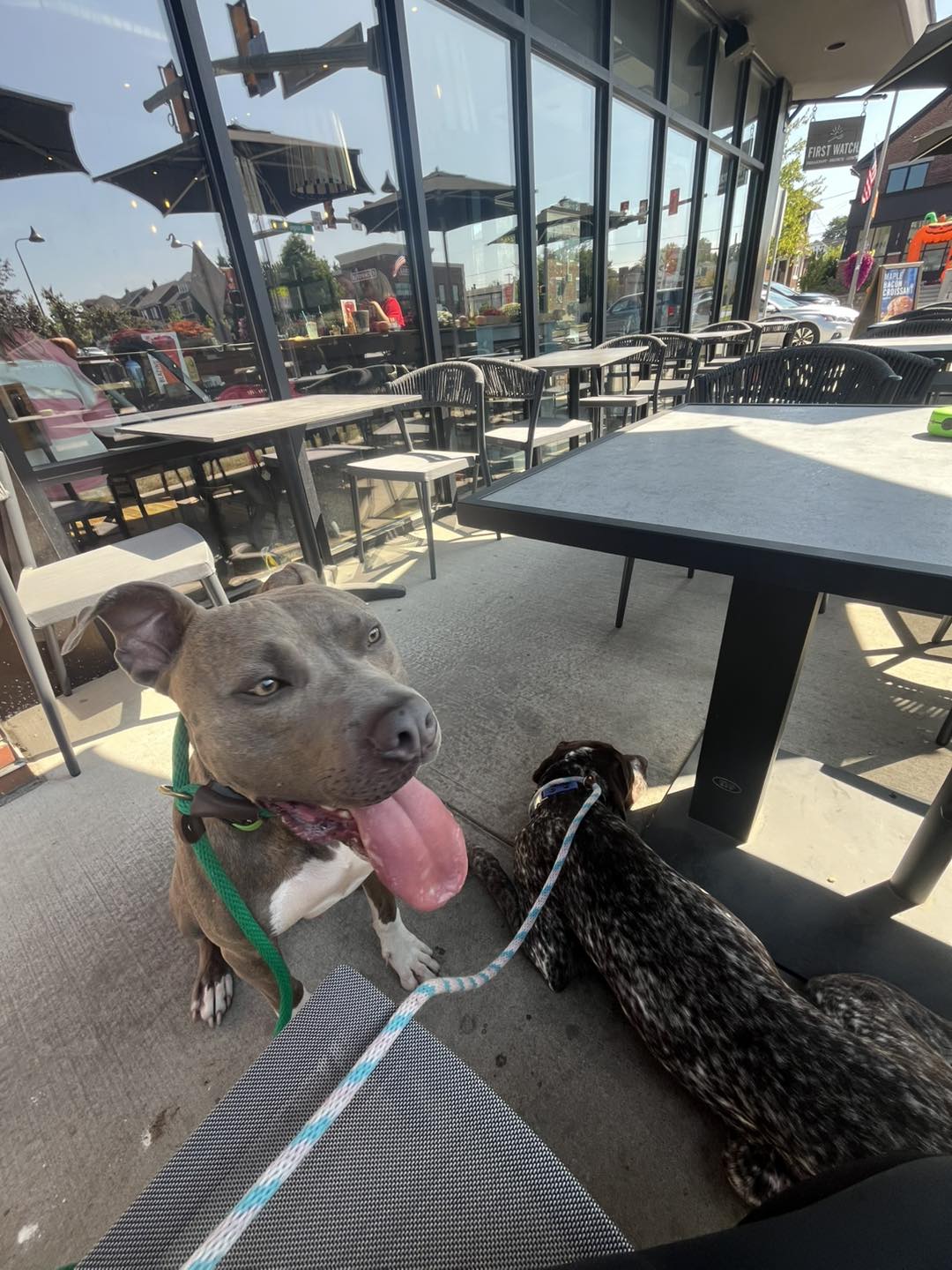 Winston Practicing Focus in Public