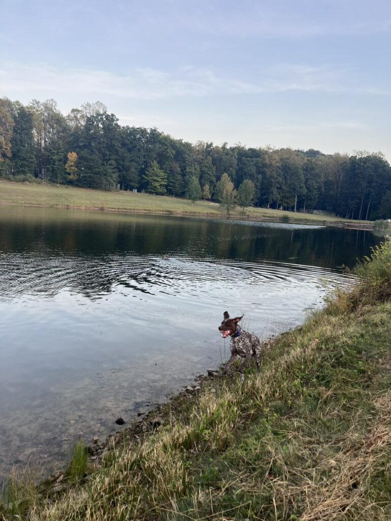 Winston Practicing Focus in Public