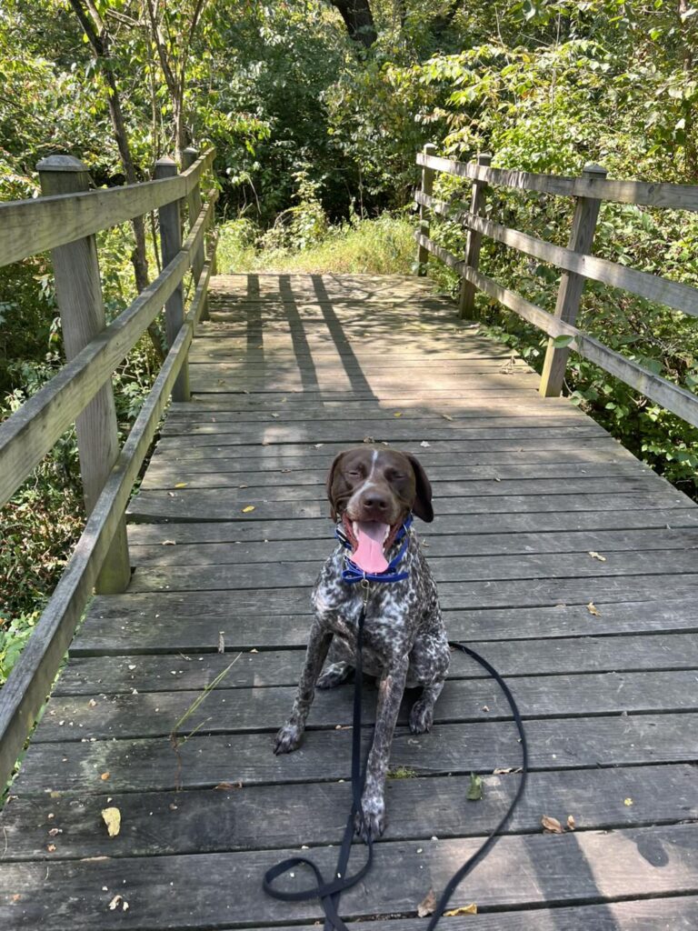 Training Session with Winston