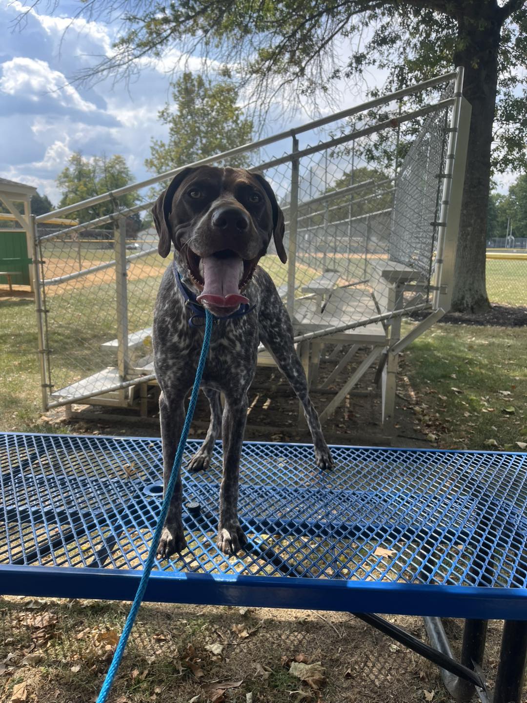 Training Session with Winston