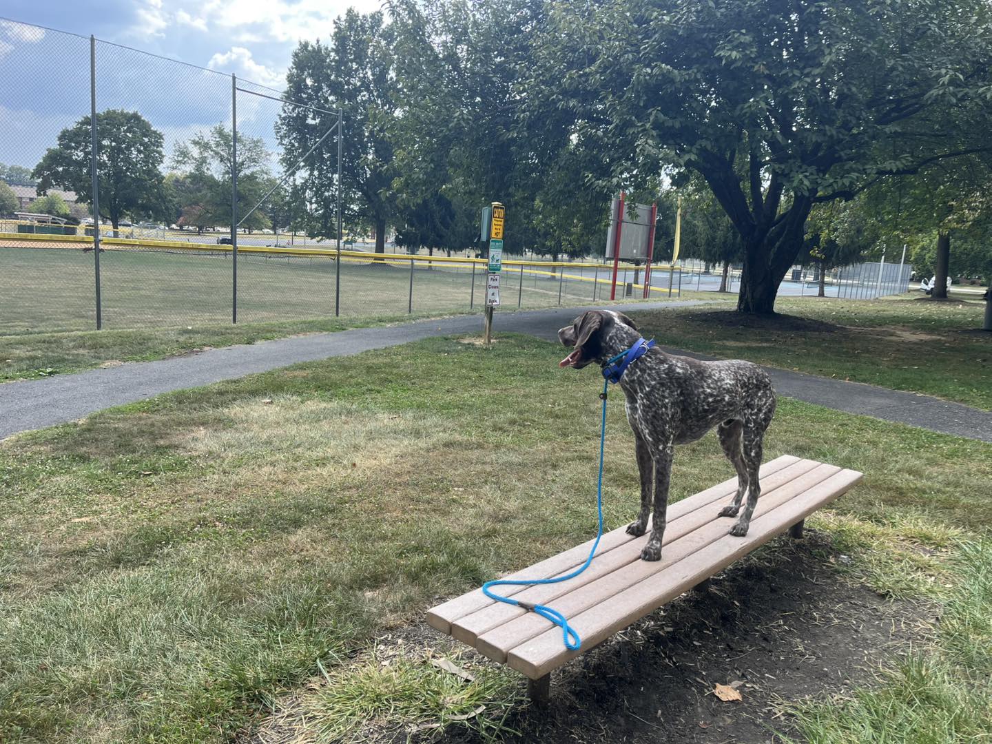 Training Session with Winston