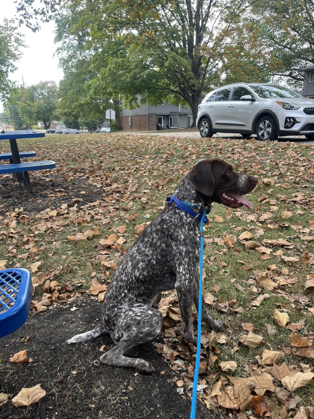 Training Session with Winston