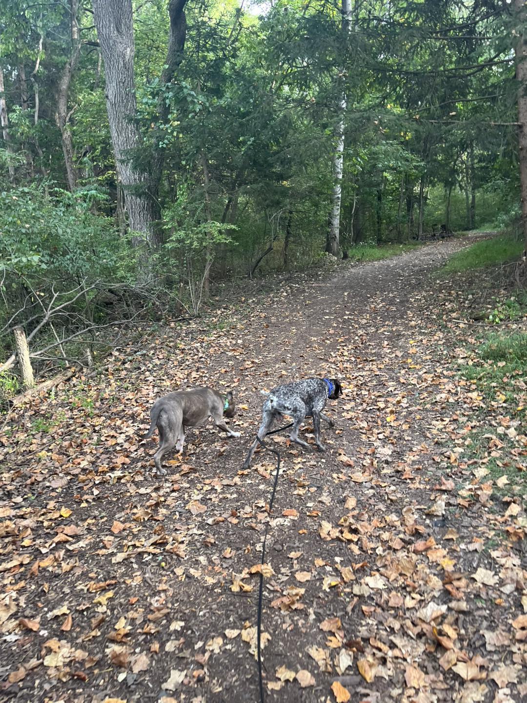 Training Session with Winston