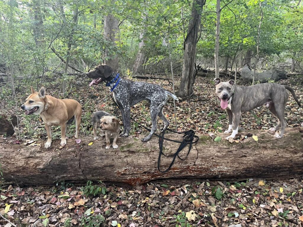 Training Session with Winston