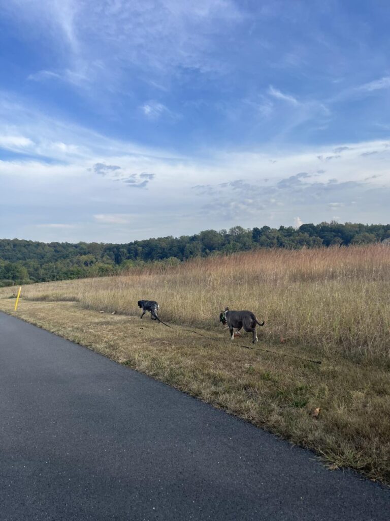Training Session with Winston
