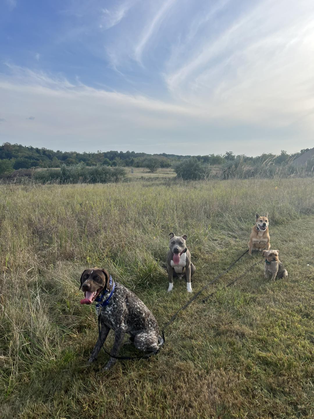 Training Session with Winston