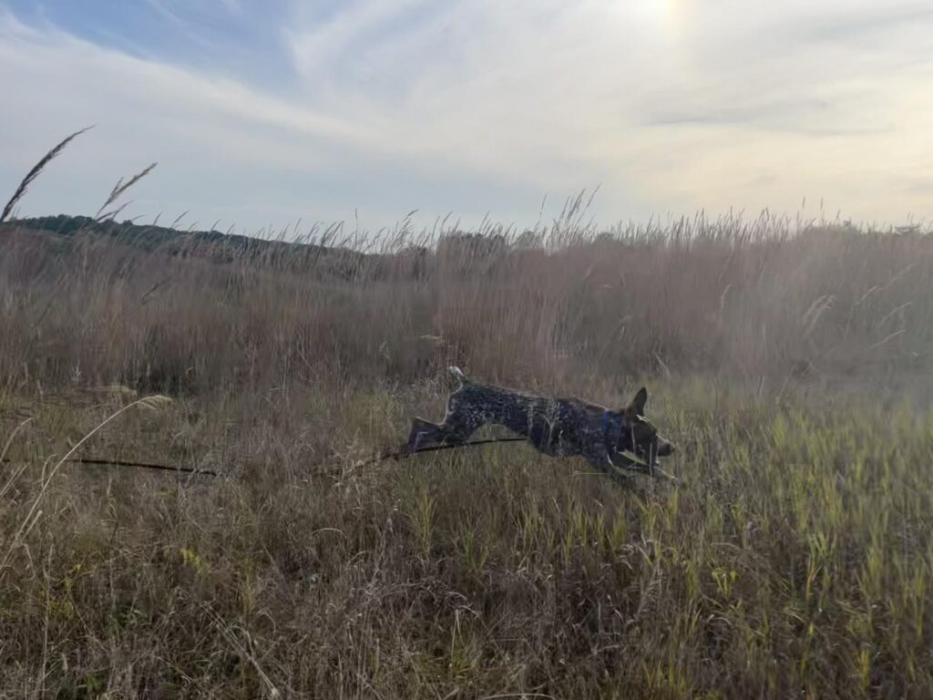 Training Session with Winston