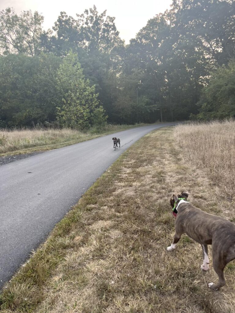 Training Session with Winston