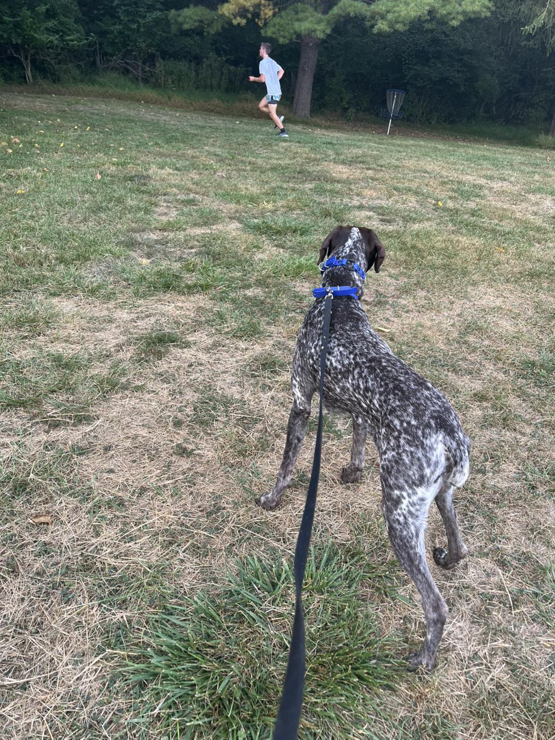 Training Session with Winston