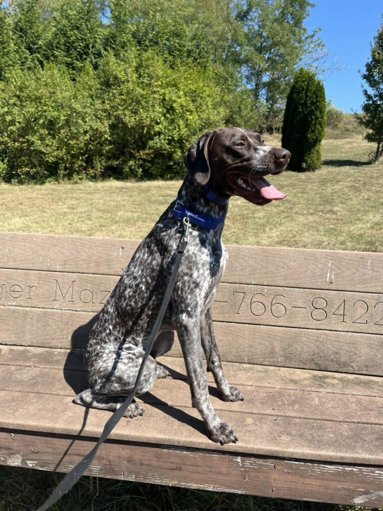 Training Session with Winston