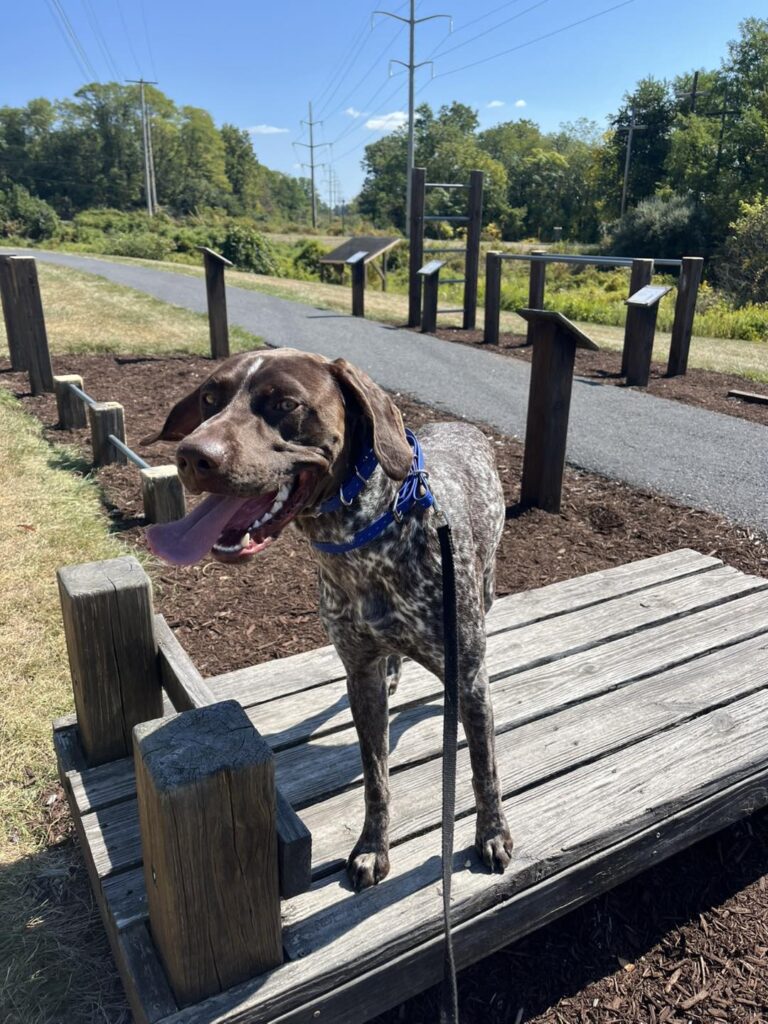 Training Session with Winston