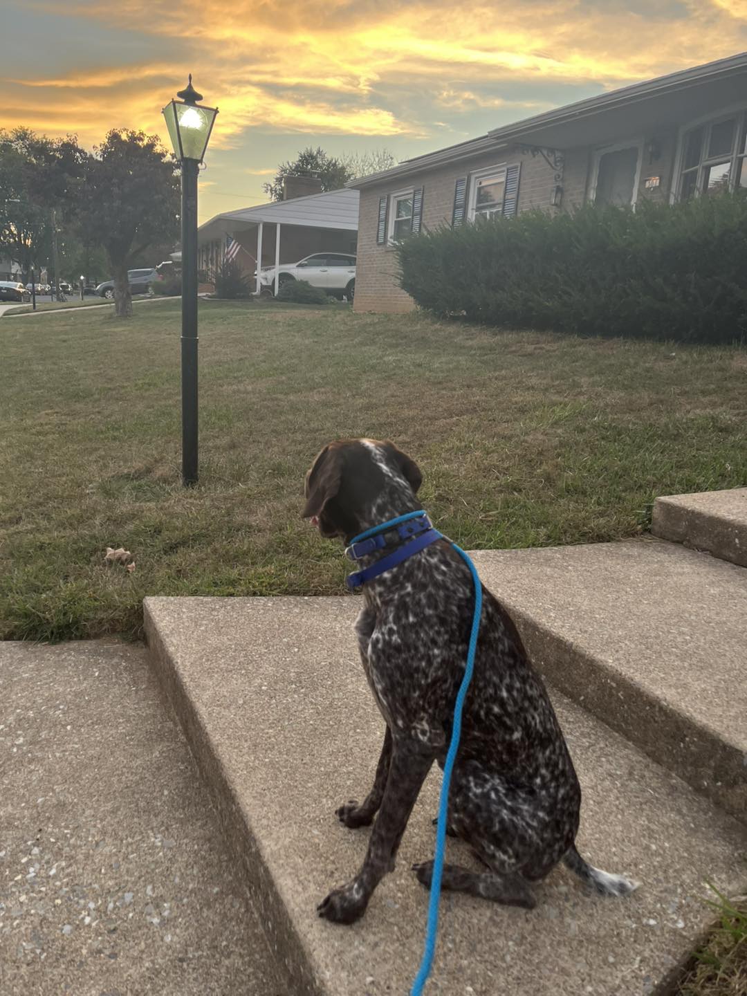 Training Session with Winston
