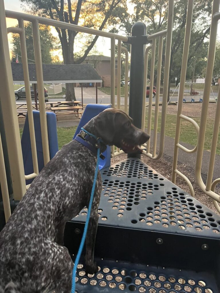 Training Session with Winston