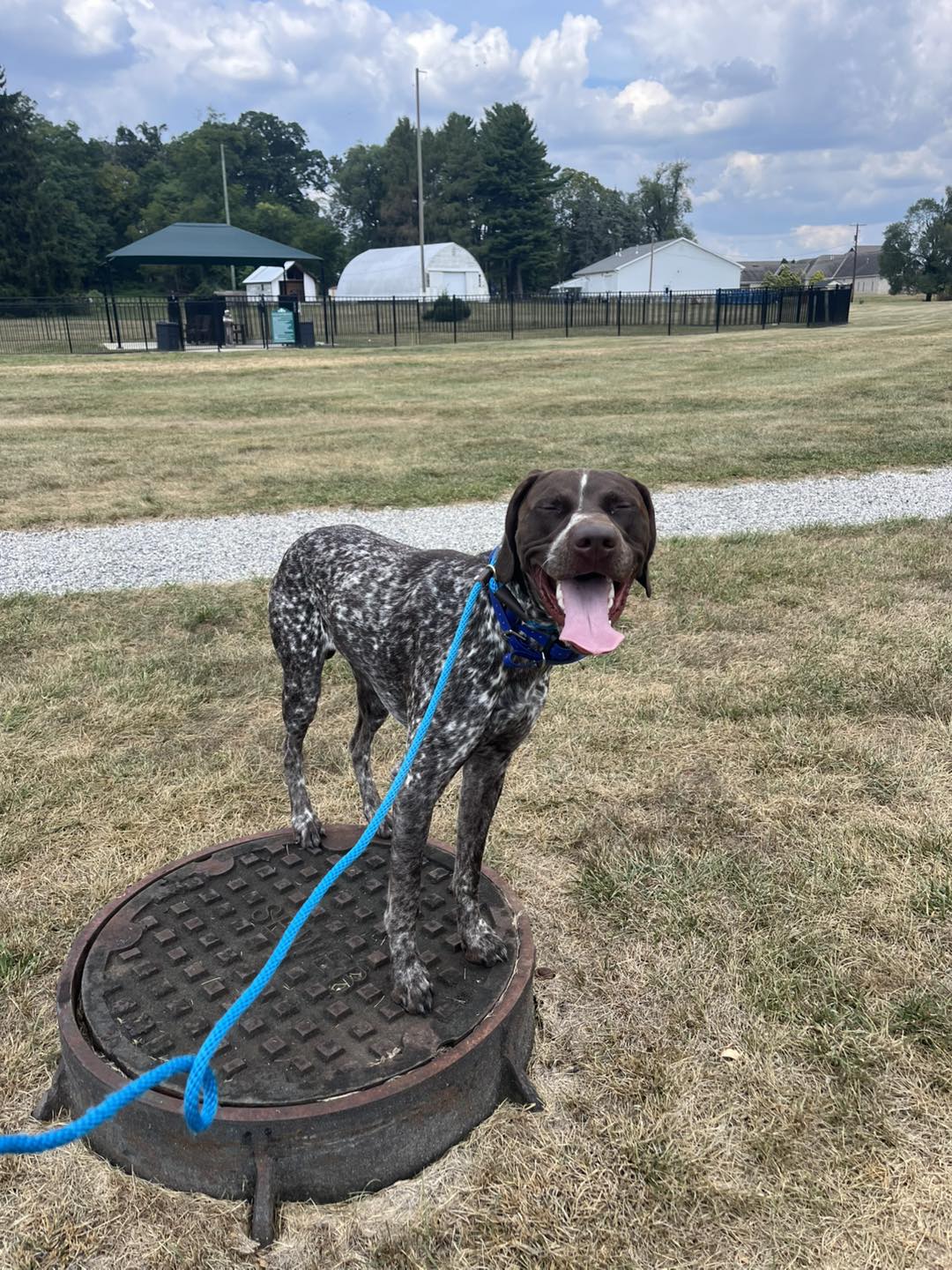 Training Session with Winston