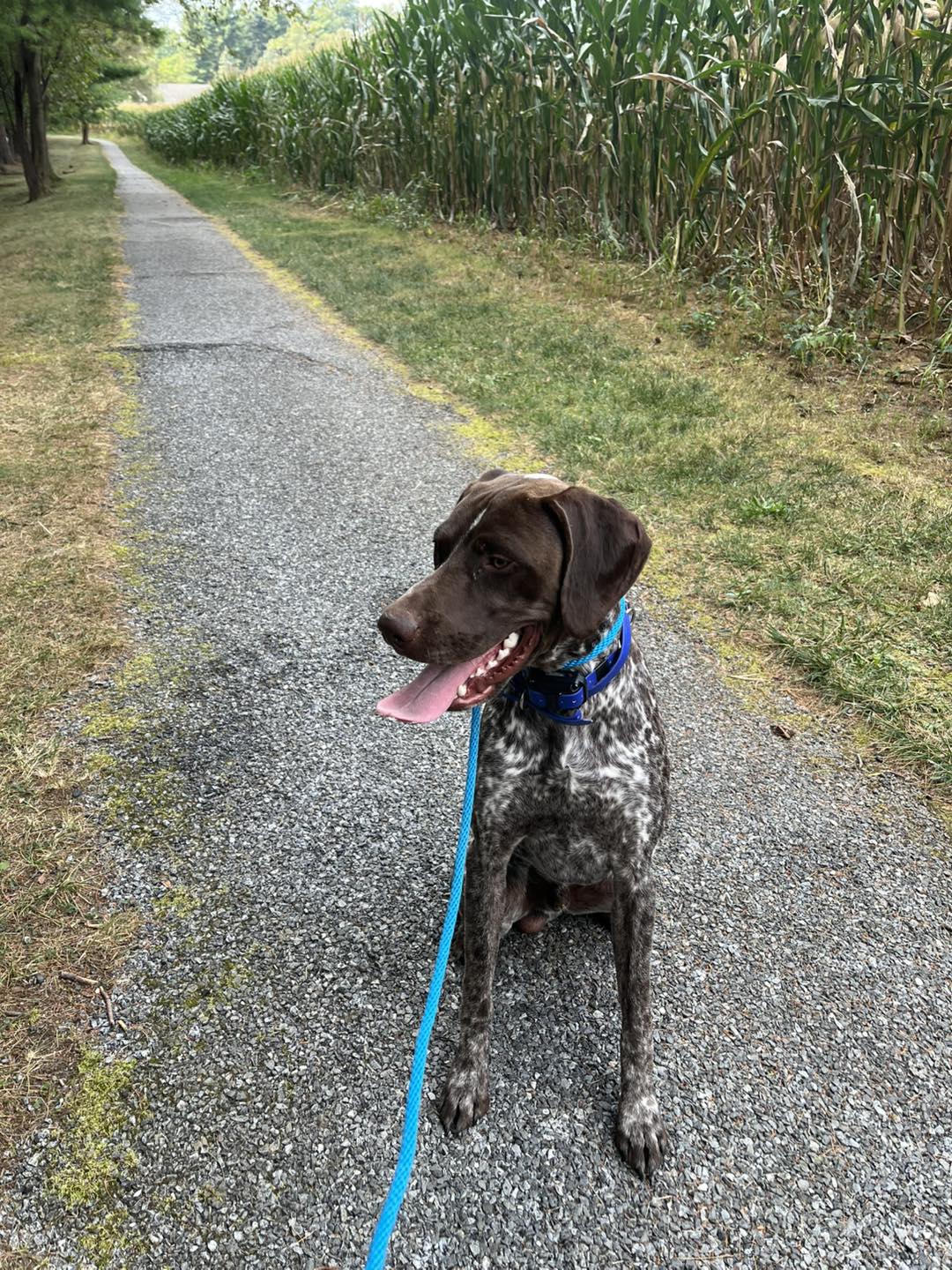 Training Session with Winston